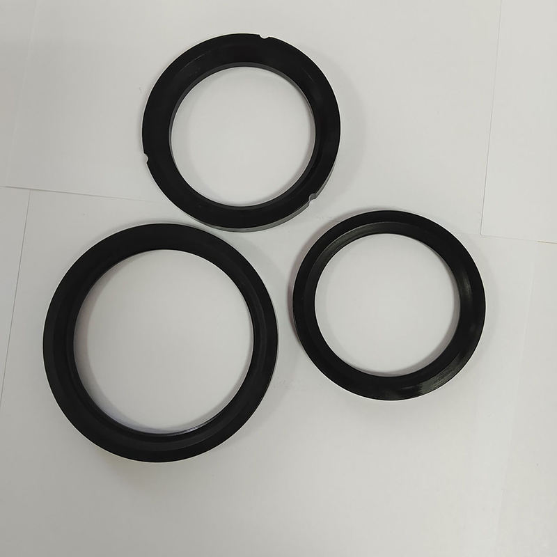 PEEK Flat Gasket Seal