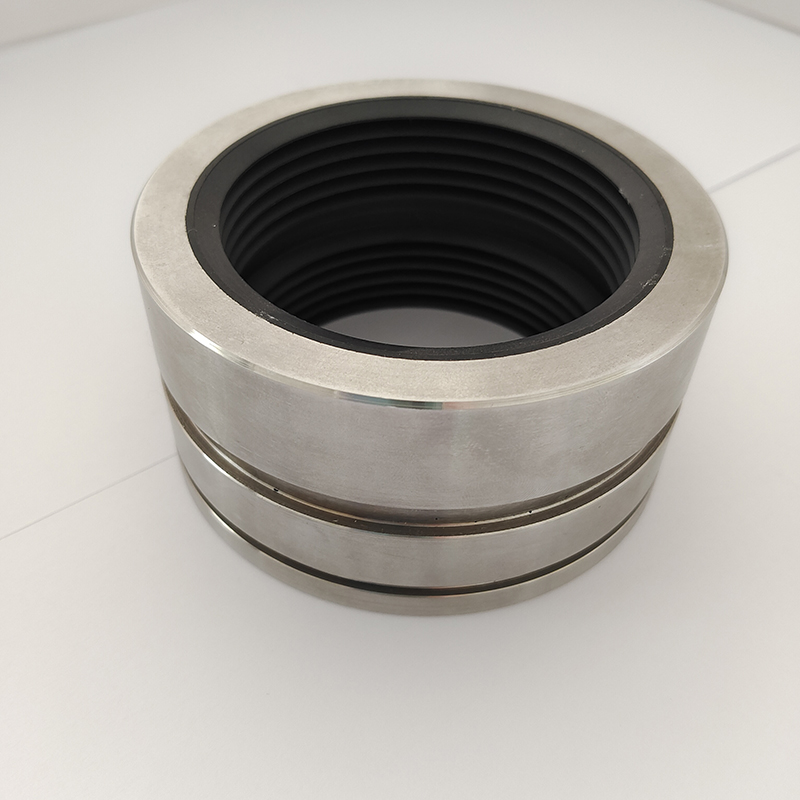 PEEK Suction Side Seal