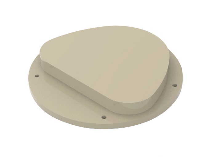 PEEK Dental Disc