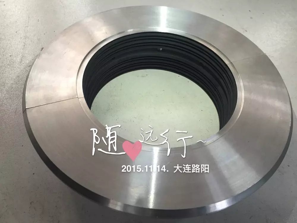 PEEK Shaft End Comb Seal