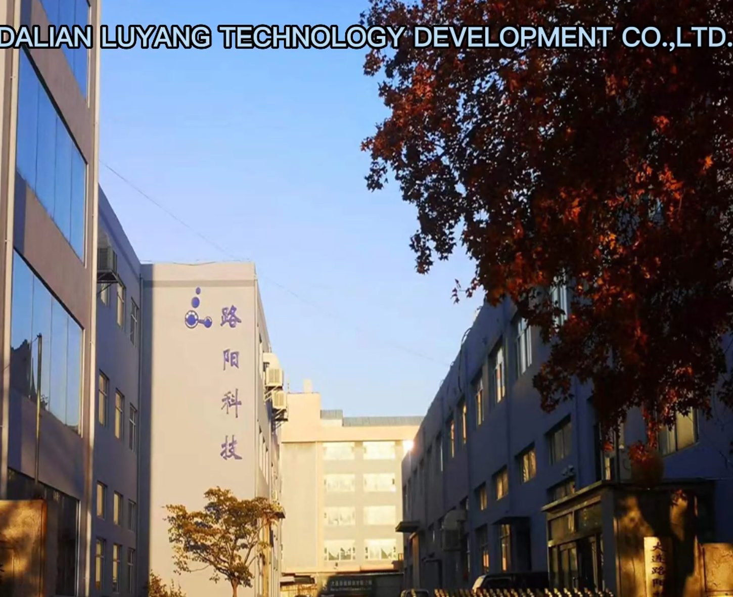 Dalian Luyang Technology Development Co., Ltd.